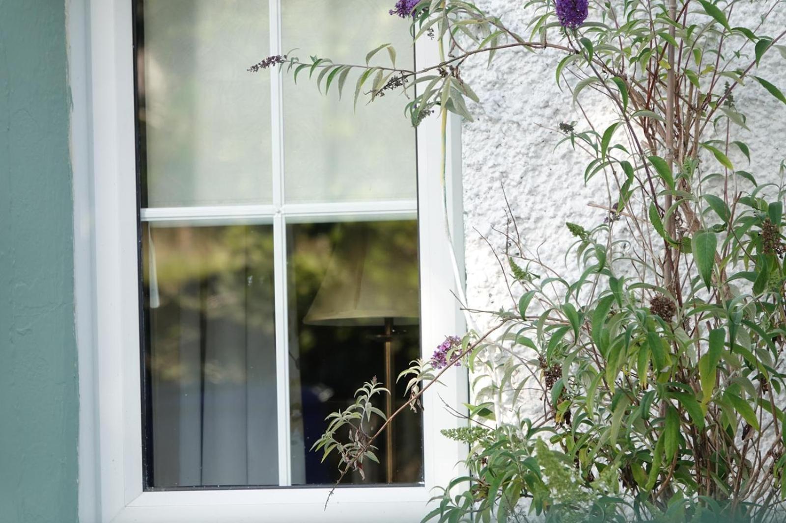Clover Cottage Σλίγκο Εξωτερικό φωτογραφία